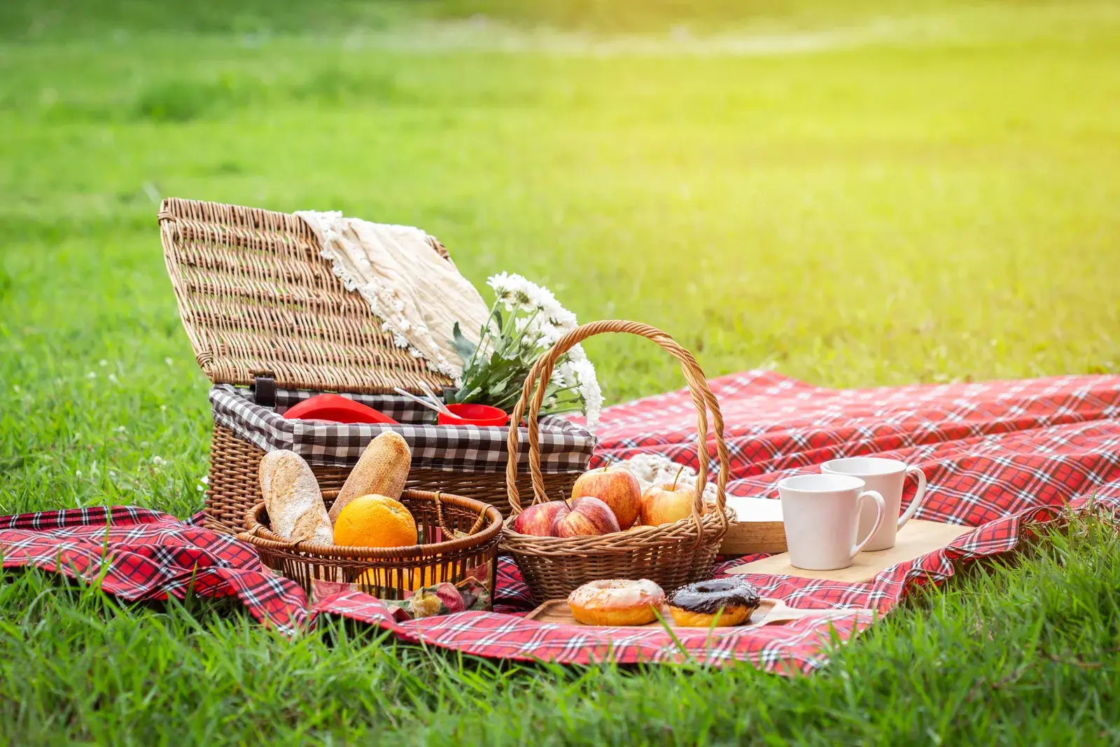 Picnic in the grass