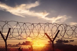 Barbed wire fence with sunset