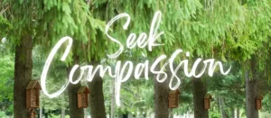 Seek Compassion sign