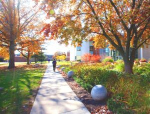 Students walk across the campus of Madonna University.